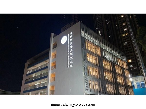 護眼(yǎn)健康-湖(hú)東(dōng)小學(xué)照明(míng)