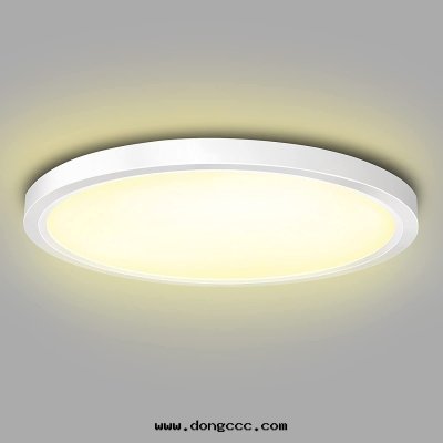 300mm簡約款側發(fà)光(guāng)超薄吸頂燈(dēng)-單色(sè)温(wēn)/无极(jí)調光(guāng)調色(sè)色(sè)温(wēn)吸頂燈(dēng)