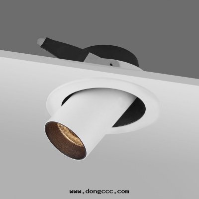 360D水(shuǐ)平旋轉(zhuǎn)7W LED半嵌入式可(kě)調筒燈(dēng)